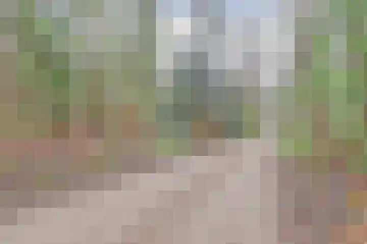 Plaggeweg 120 Vierhouten thumbnail 26