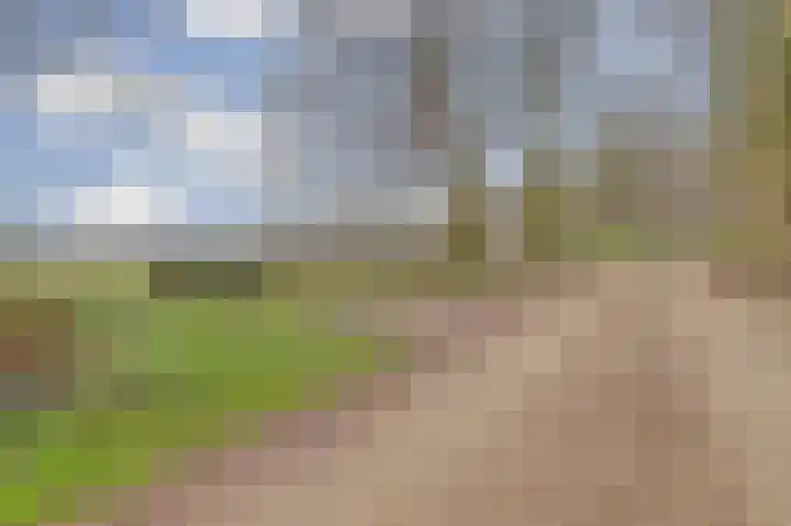 Plaggeweg 120 Vierhouten thumbnail 27