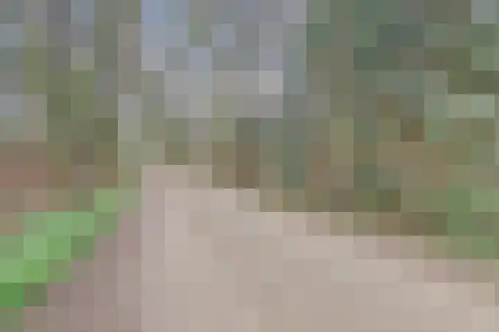 Plaggeweg 120 Vierhouten thumbnail 28