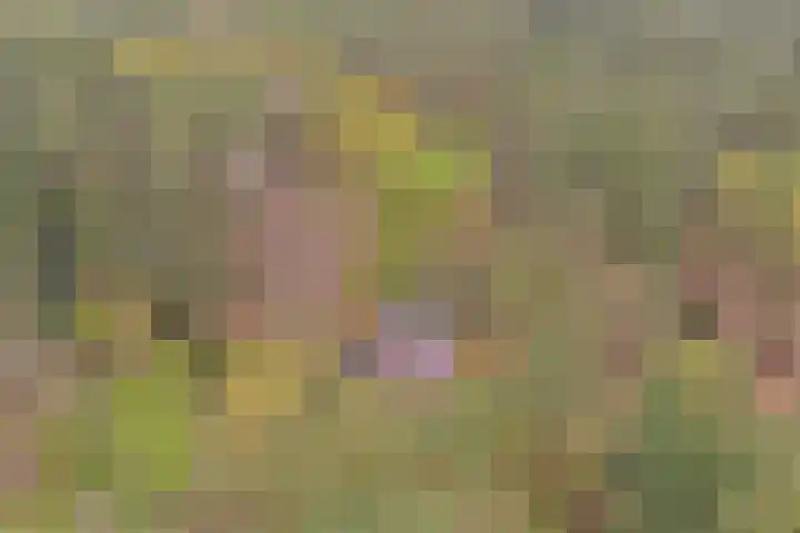Plaggeweg 120 Vierhouten thumbnail 29