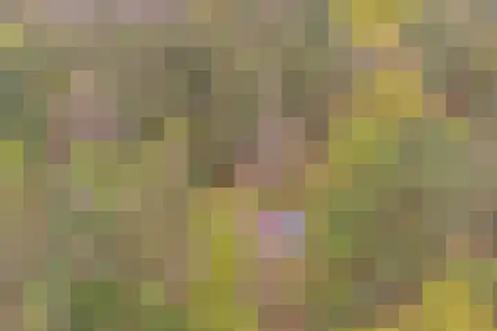Plaggeweg 120 Vierhouten thumbnail 30