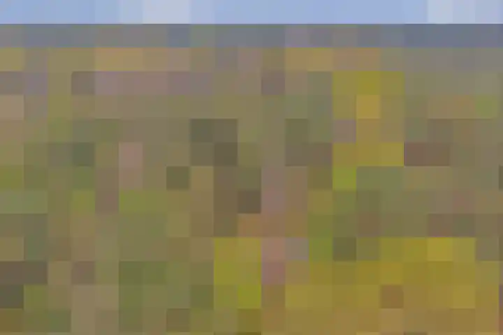 Plaggeweg 120 Vierhouten thumbnail 31
