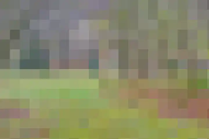 Plaggeweg 120 Vierhouten thumbnail 33