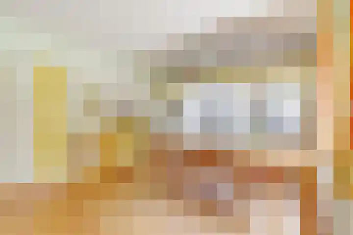 Plaggeweg 120 Vierhouten thumbnail 5