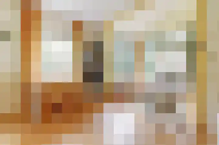Plaggeweg 120 Vierhouten thumbnail 6