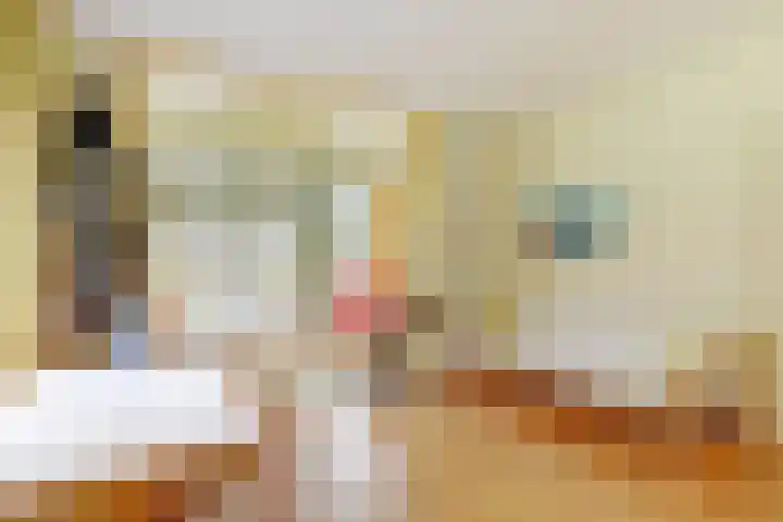Plaggeweg 120 Vierhouten thumbnail 7