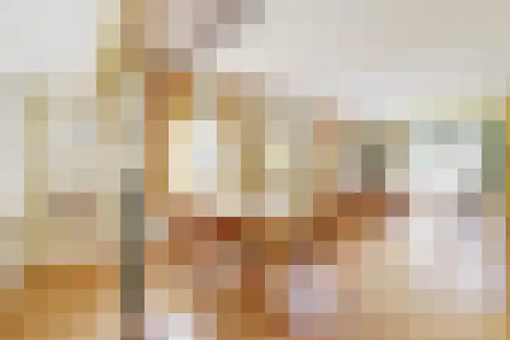 Plaggeweg 120 Vierhouten thumbnail 8