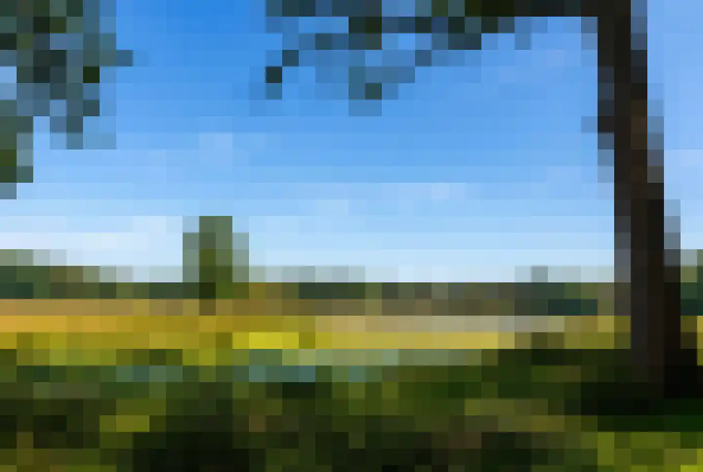 Plaggeweg 135 Vierhouten thumbnail 11