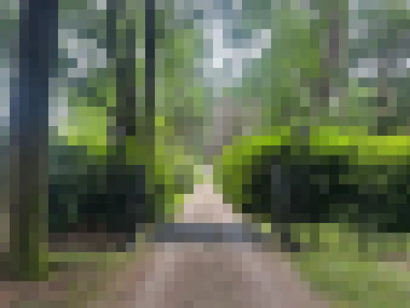 Plaggeweg 135 Vierhouten thumbnail 12
