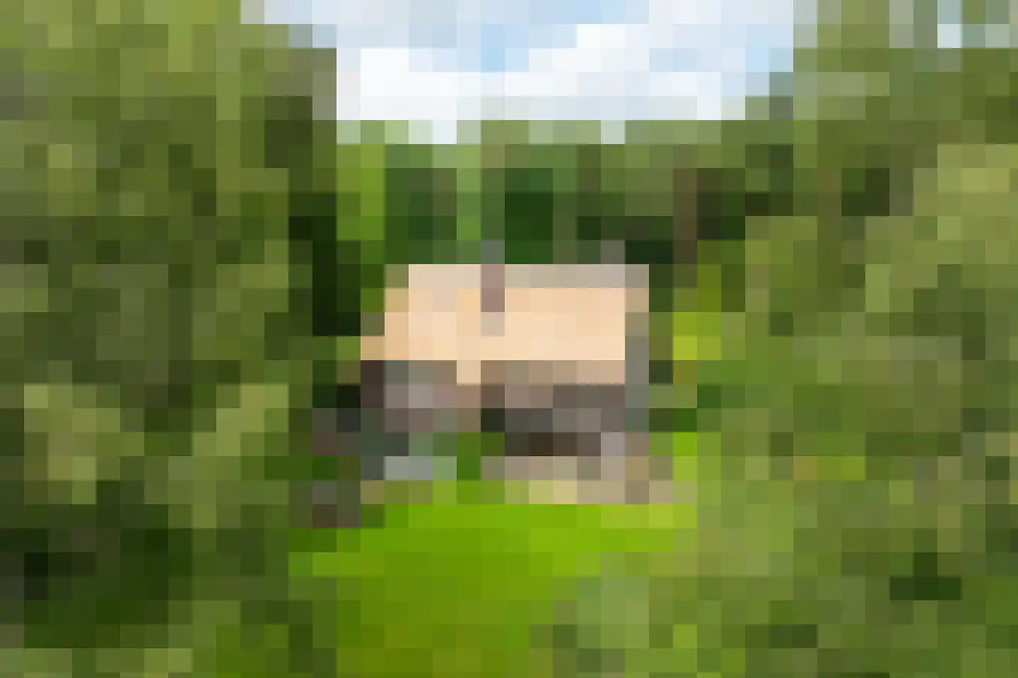 Plaggeweg 135 Vierhouten thumbnail 13