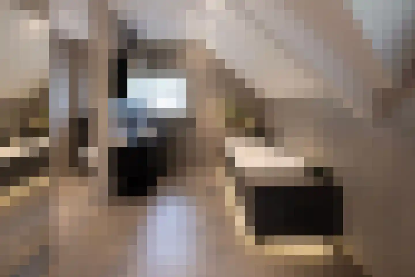 Plaggeweg 135 Vierhouten thumbnail 29