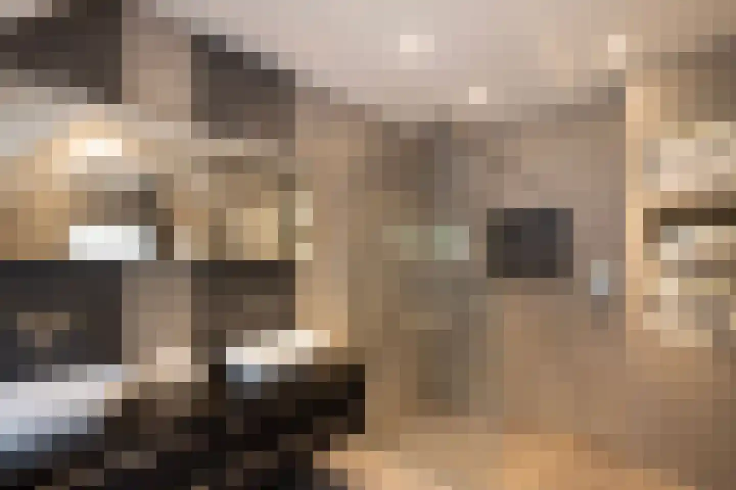 Plaggeweg 135 Vierhouten thumbnail 30