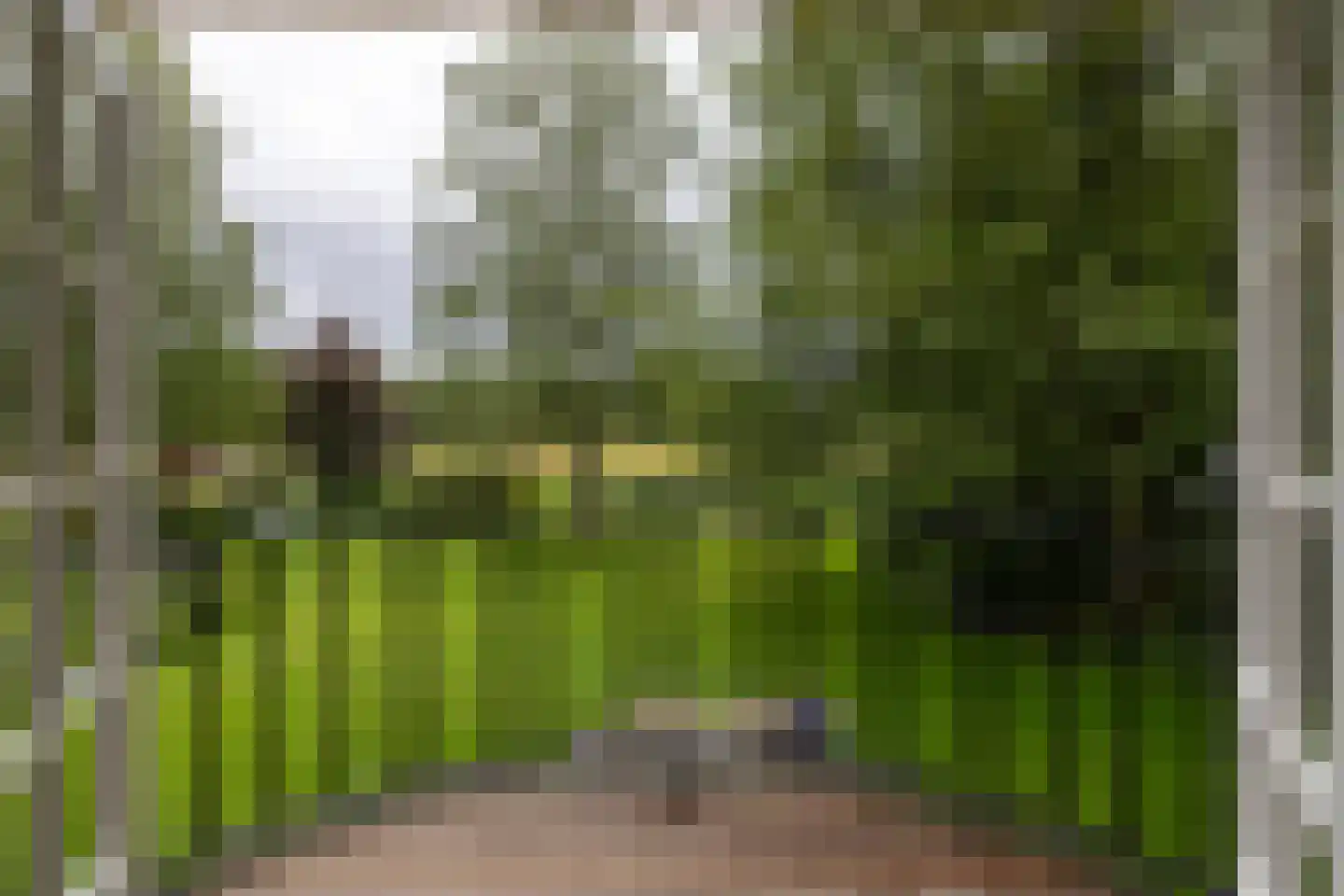 Plaggeweg 135 Vierhouten thumbnail 32