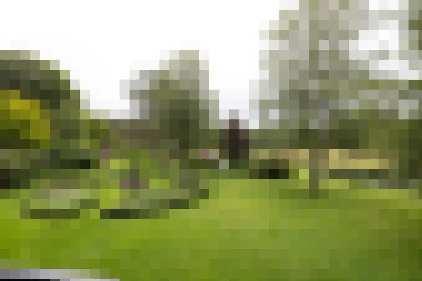 Plaggeweg 135 Vierhouten thumbnail 33