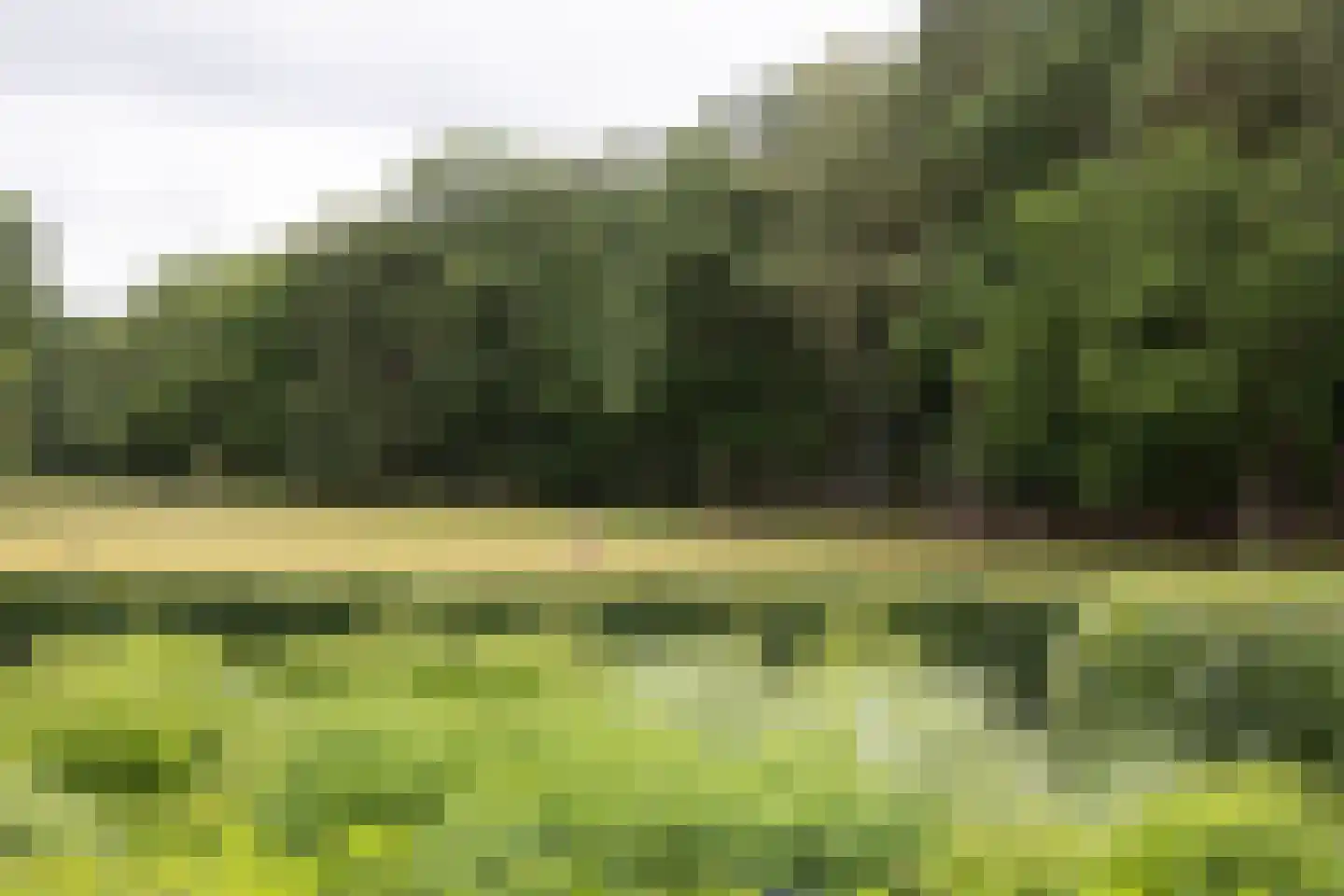 Plaggeweg 135 Vierhouten thumbnail 36