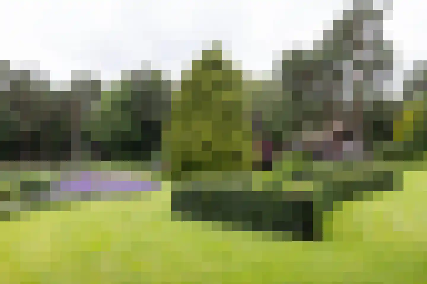 Plaggeweg 135 Vierhouten thumbnail 46