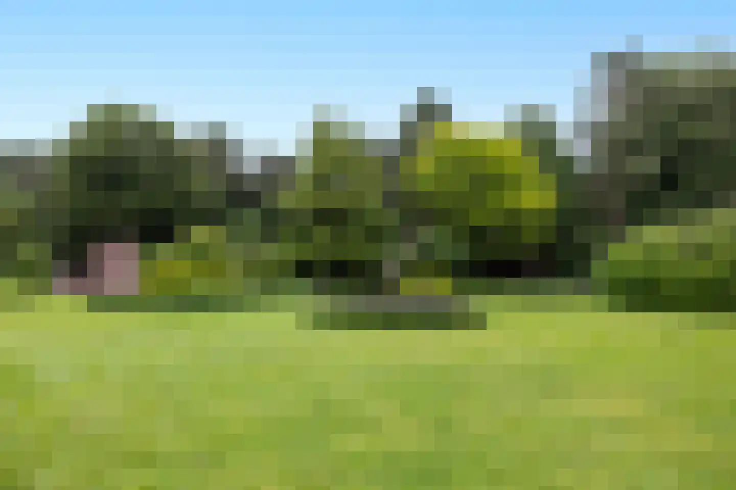 Plaggeweg 135 Vierhouten thumbnail 47