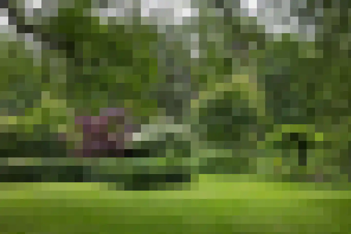 Plaggeweg 135 Vierhouten thumbnail 48