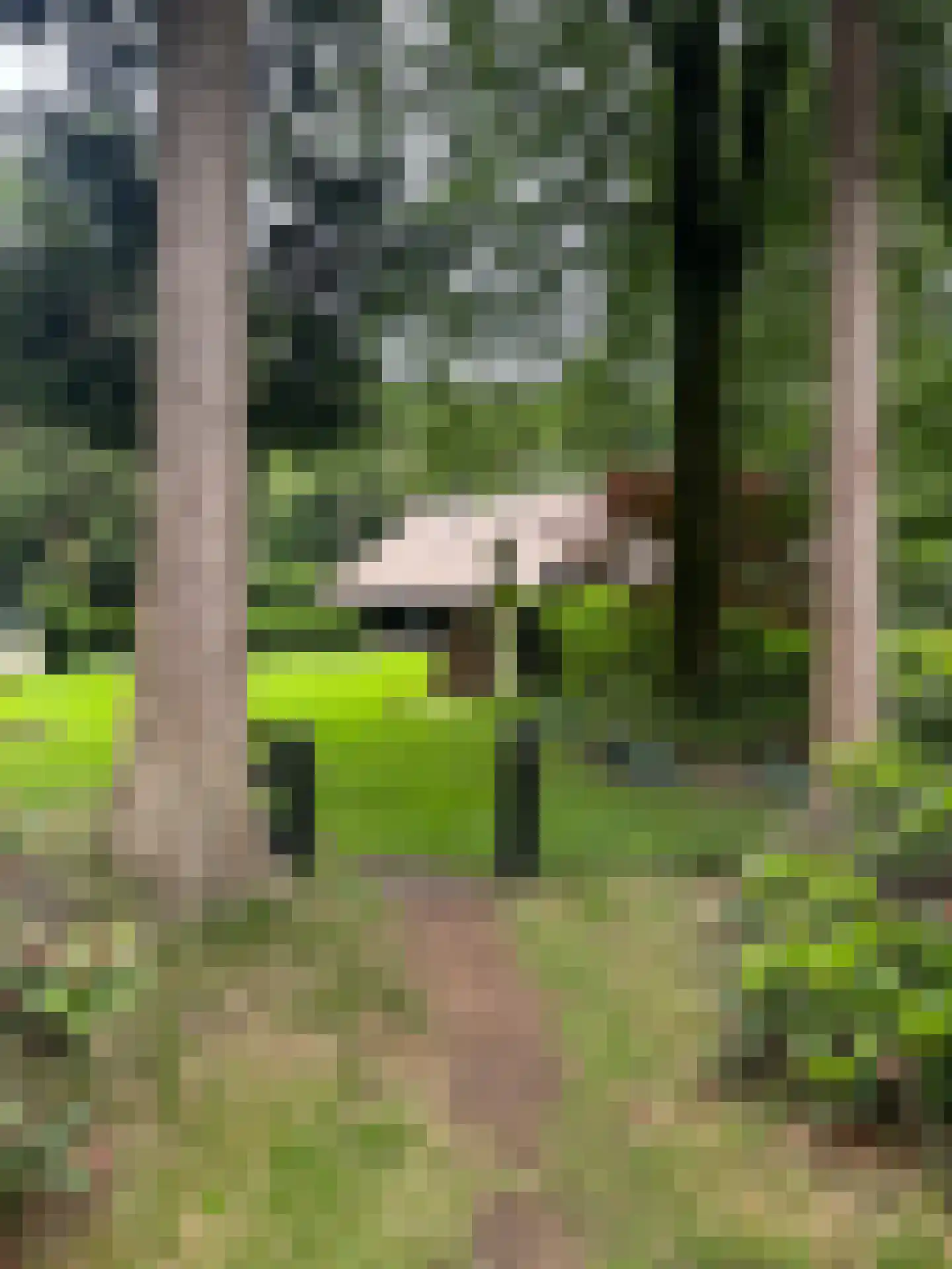 Plaggeweg 135 Vierhouten thumbnail 49