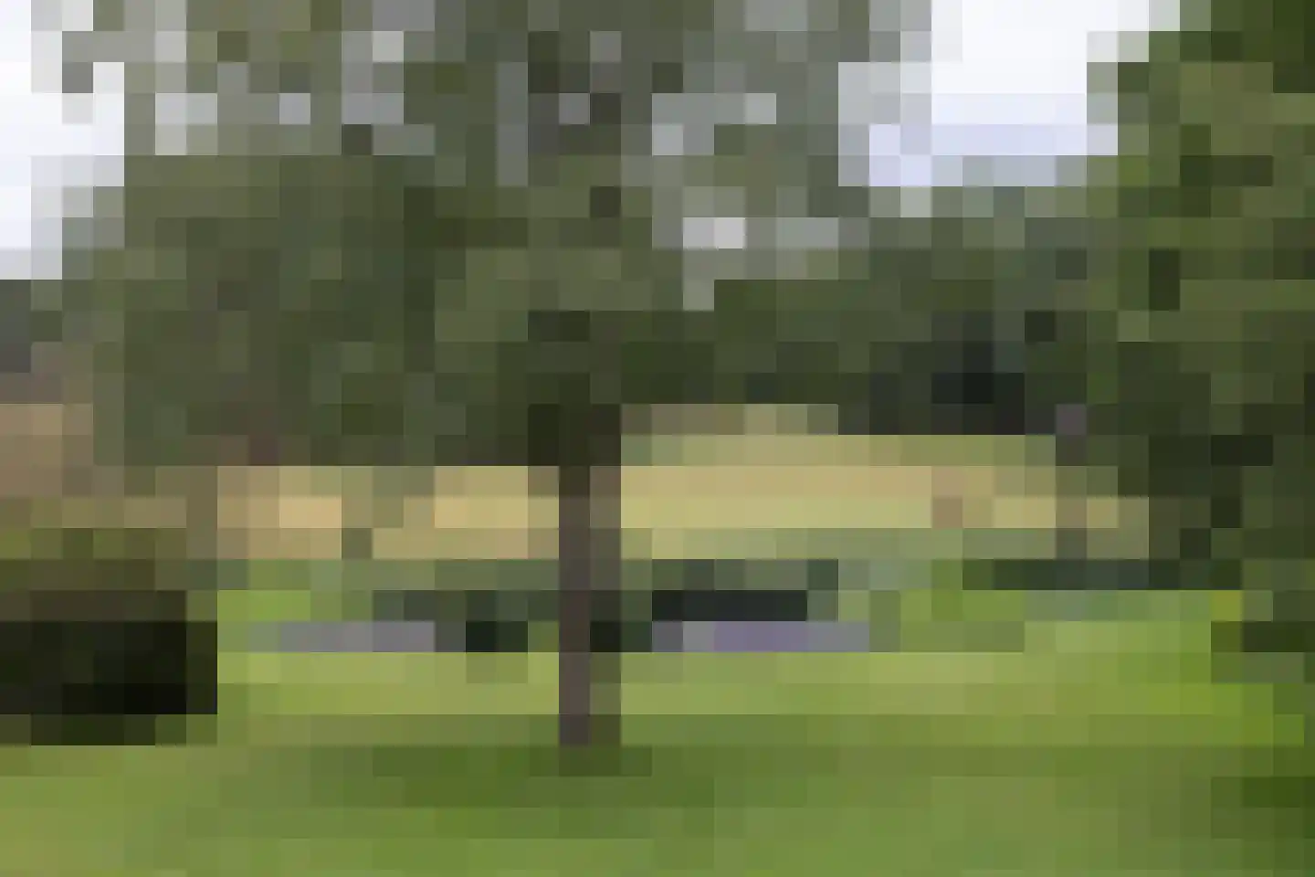 Plaggeweg 135 Vierhouten thumbnail 5