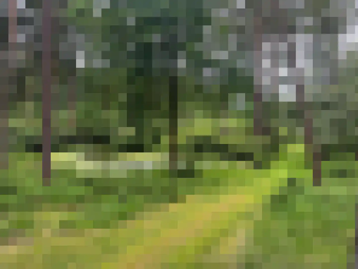 Plaggeweg 135 Vierhouten thumbnail 52
