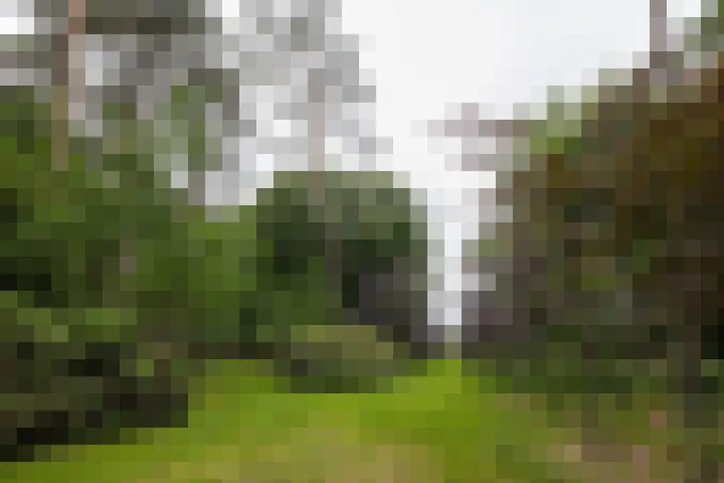 Plaggeweg 135 Vierhouten thumbnail 53