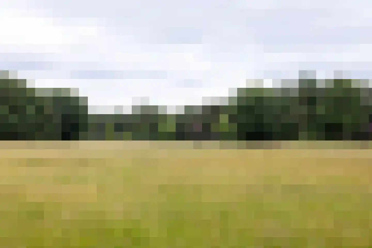 Plaggeweg 135 Vierhouten thumbnail 54
