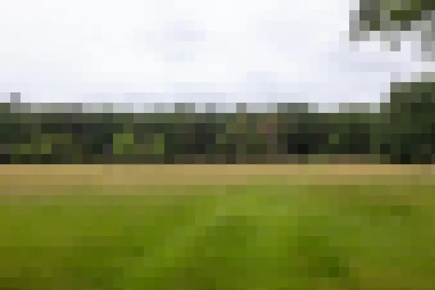 Plaggeweg 135 Vierhouten thumbnail 55