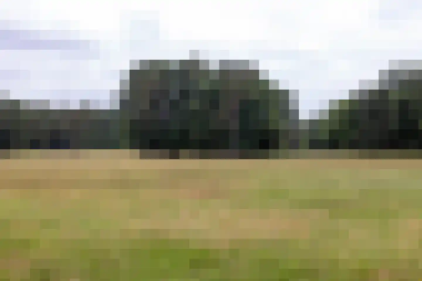 Plaggeweg 135 Vierhouten thumbnail 56