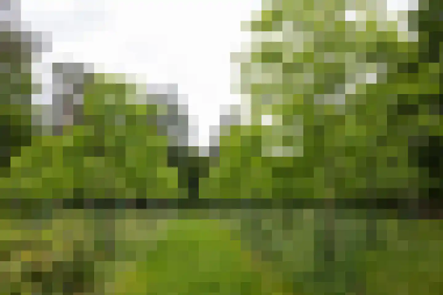 Plaggeweg 135 Vierhouten thumbnail 58