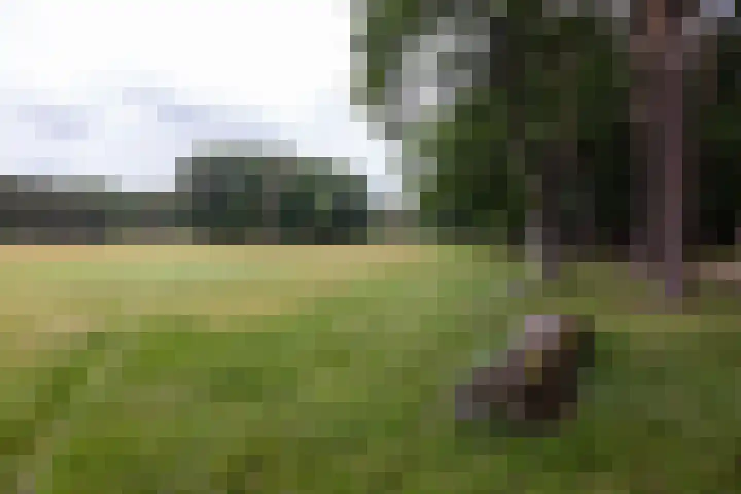 Plaggeweg 135 Vierhouten thumbnail 59