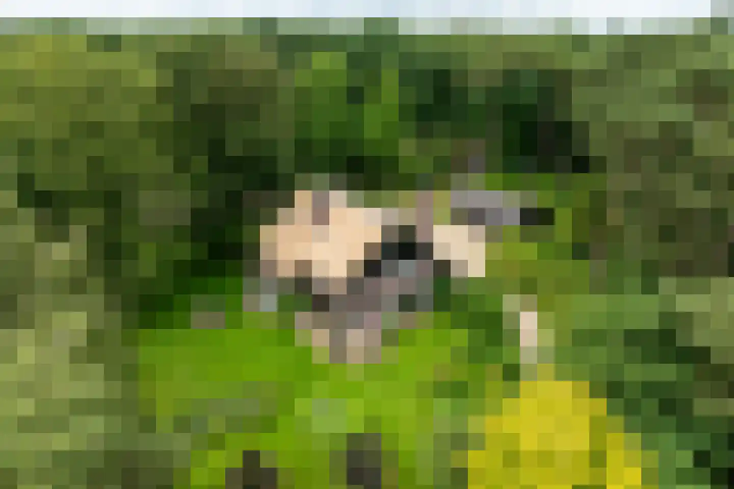 Plaggeweg 135 Vierhouten thumbnail 60