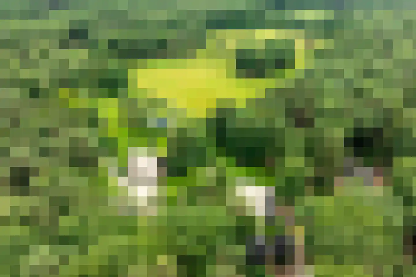 Plaggeweg 135 Vierhouten thumbnail 61