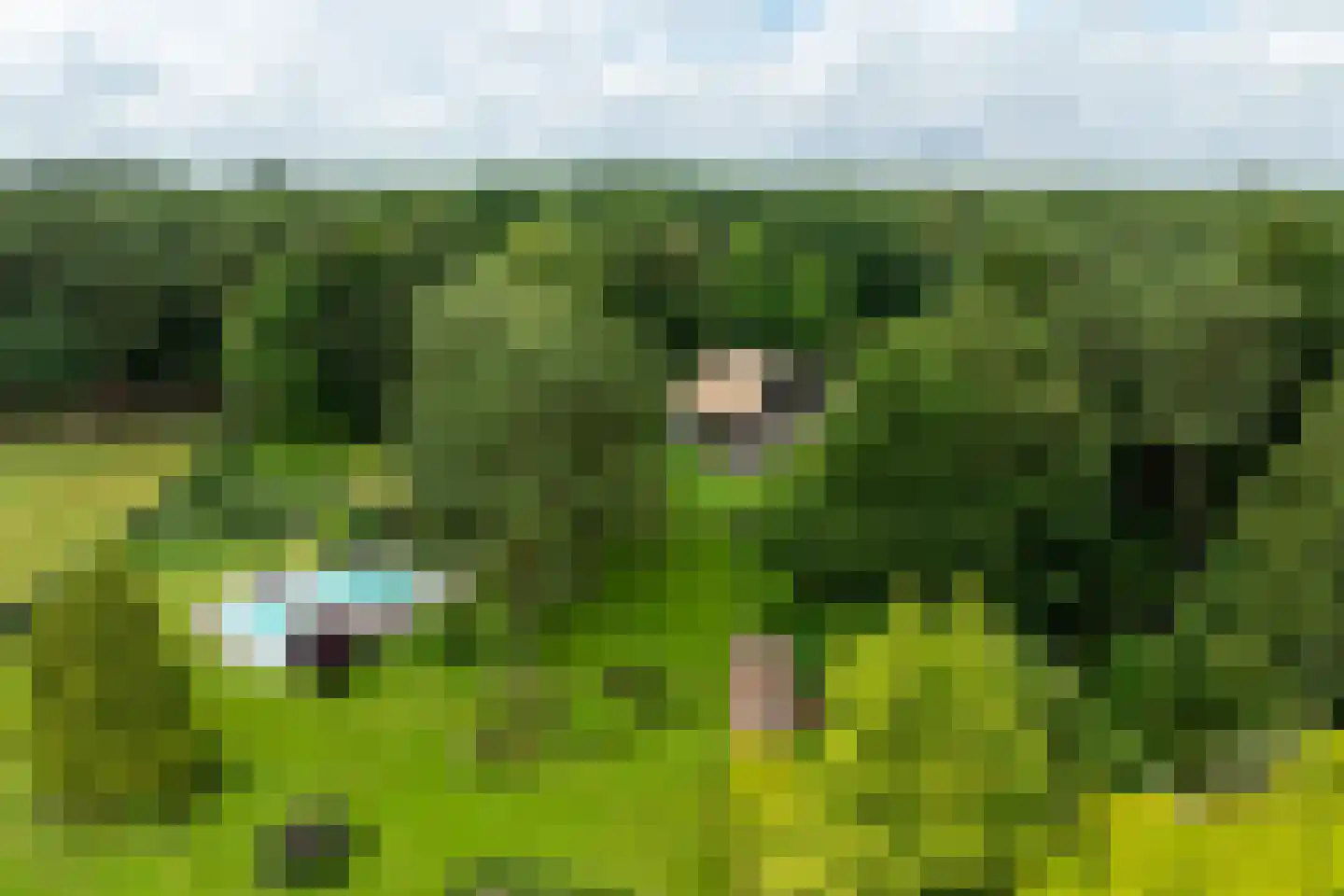 Plaggeweg 135 Vierhouten thumbnail 62
