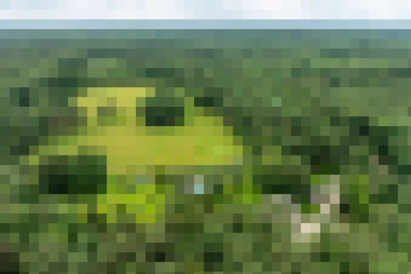 Plaggeweg 135 Vierhouten thumbnail 63