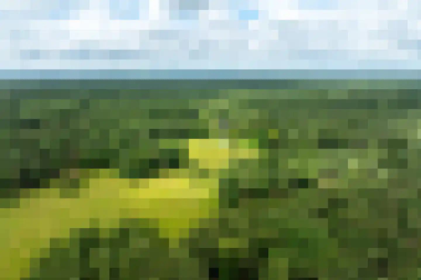 Plaggeweg 135 Vierhouten thumbnail 64