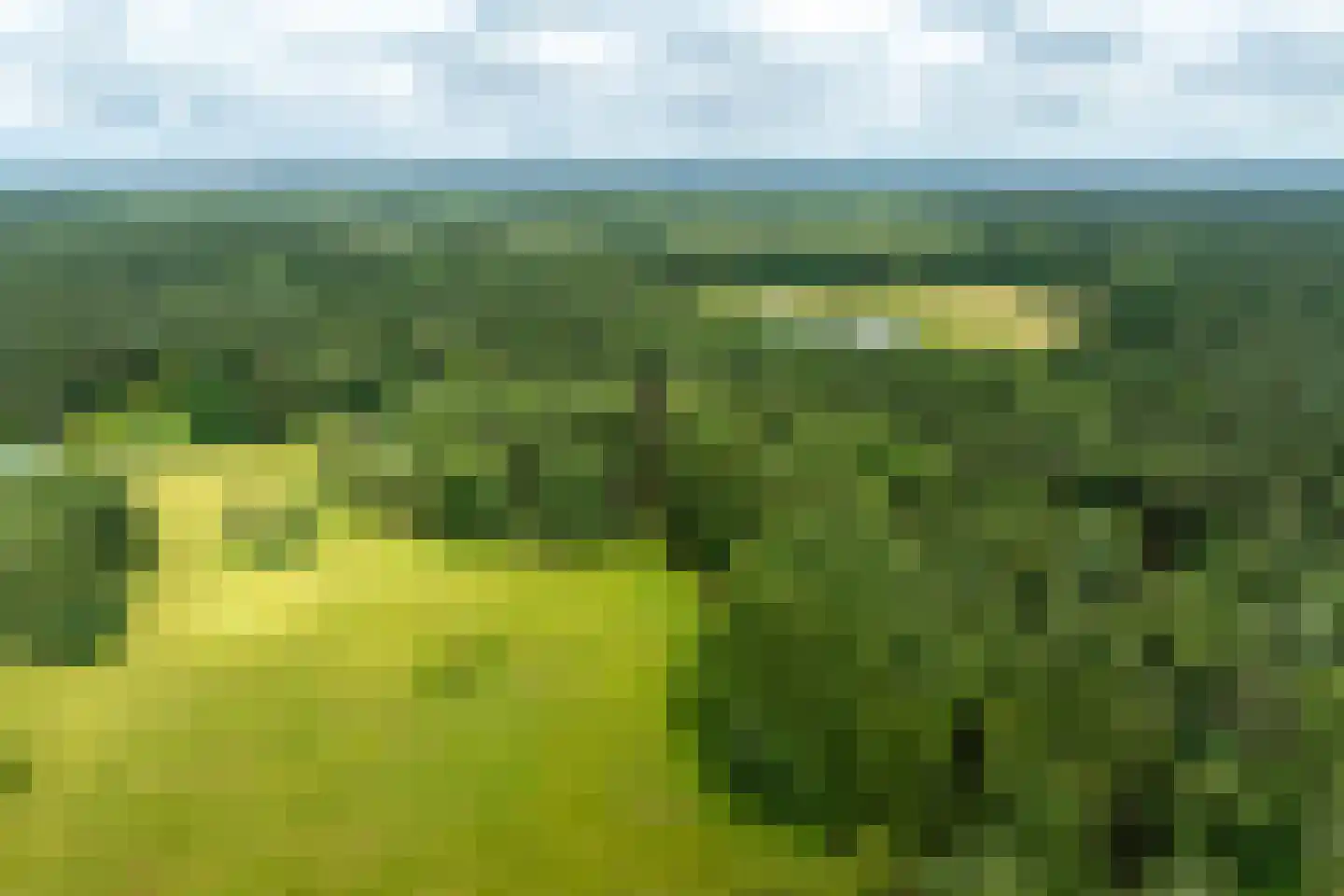 Plaggeweg 135 Vierhouten thumbnail 65