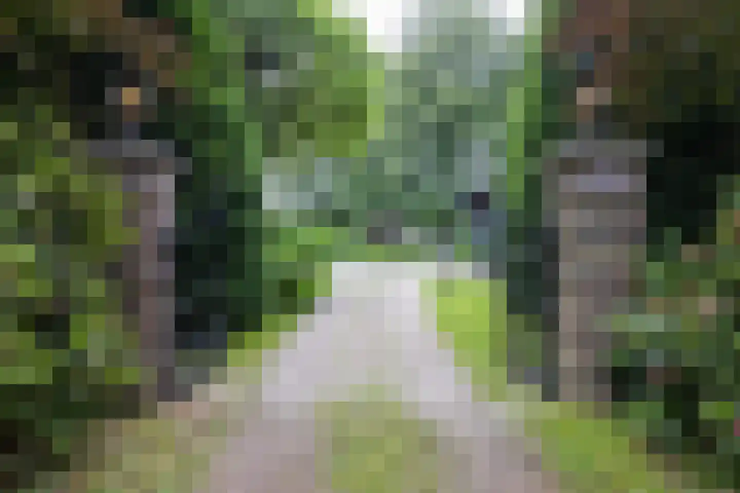 Plaggeweg 135 Vierhouten thumbnail 66