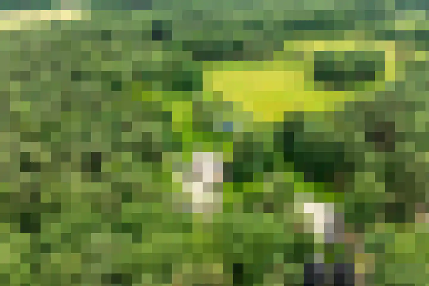 Plaggeweg 135 Vierhouten thumbnail 7