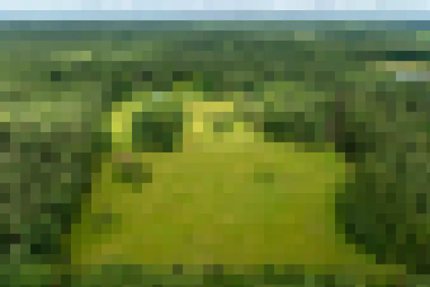 Plaggeweg 135 Vierhouten thumbnail 9