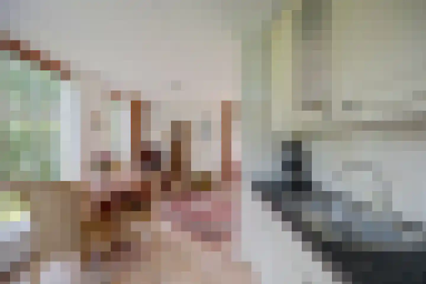 Plaggeweg 90 0008 Vierhouten thumbnail 17