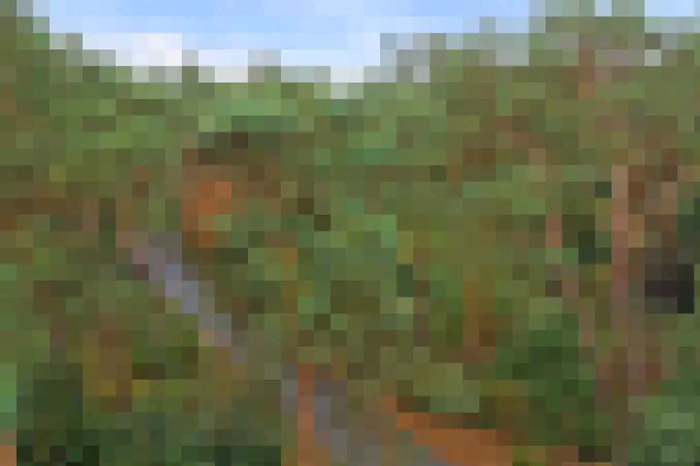 Plaggeweg 90 0008 Vierhouten thumbnail 36
