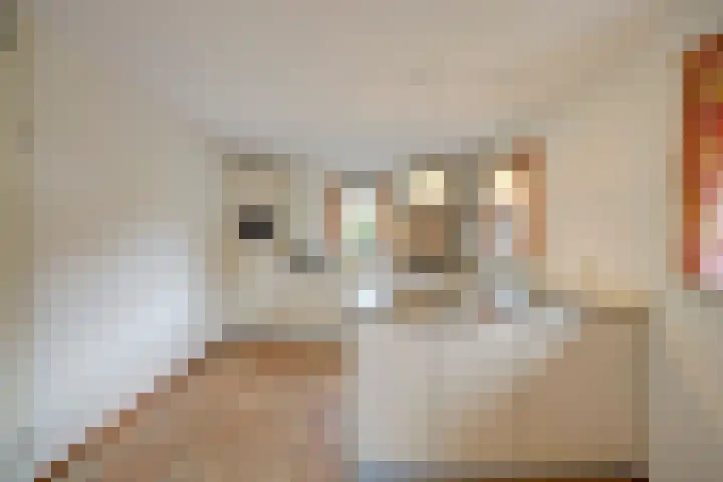 Plaggeweg 90 0014 Vierhouten thumbnail 18