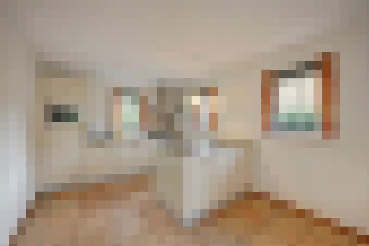 Plaggeweg 90 0014 Vierhouten thumbnail 19