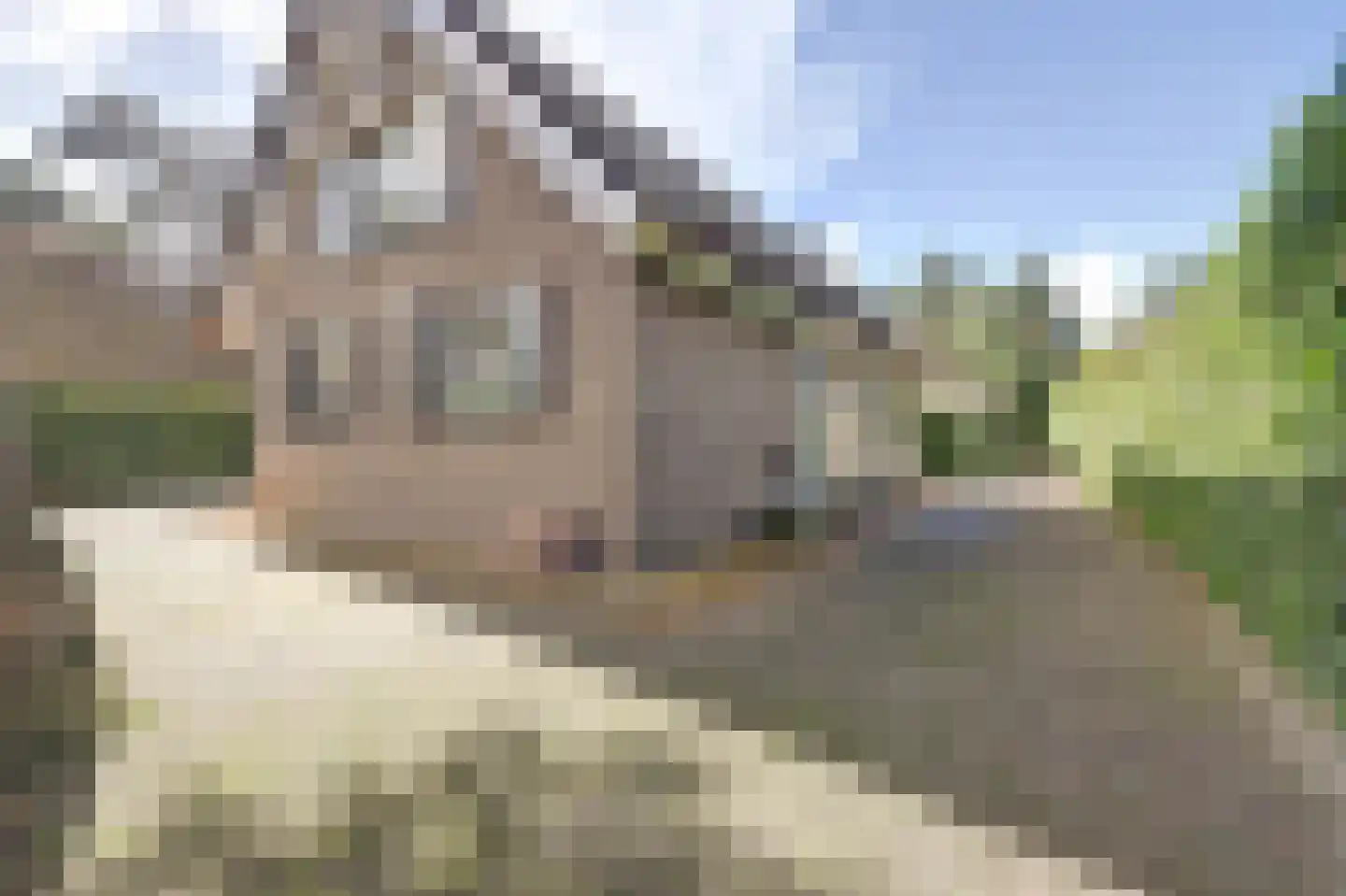 Plaggeweg 90 0014 Vierhouten thumbnail 29