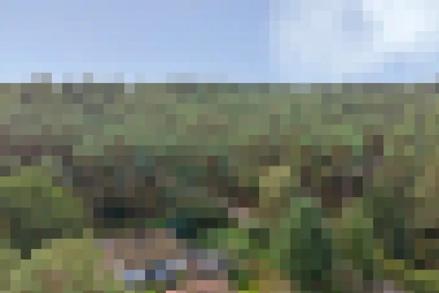 Plaggeweg 90 0014 Vierhouten thumbnail 35