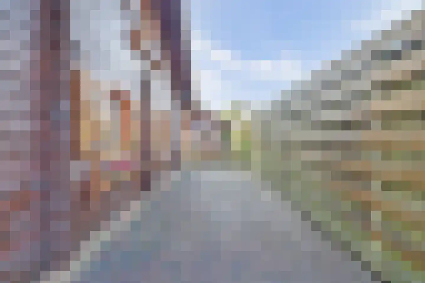 Plaggeweg 90 0048 Vierhouten thumbnail 24