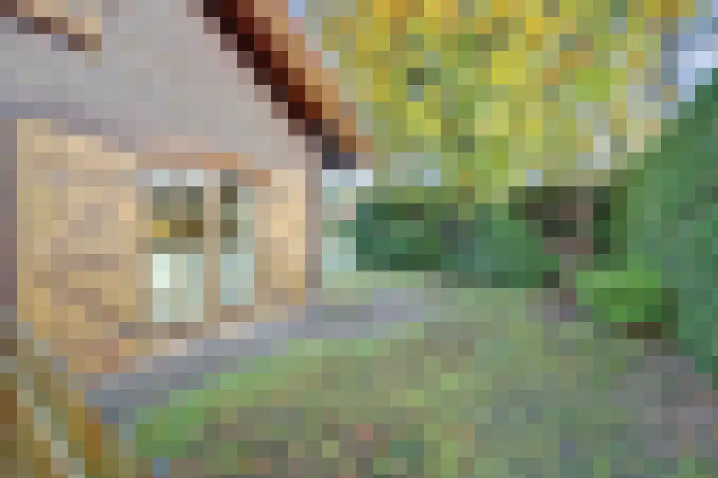 Plaggeweg 90 0048 Vierhouten thumbnail 29