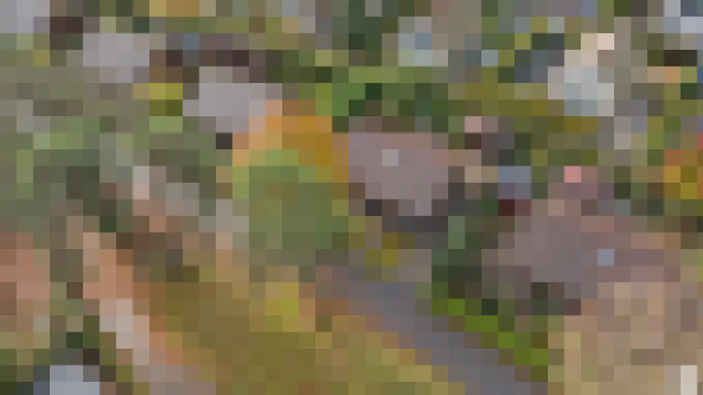 Plaggeweg 90 0048 Vierhouten thumbnail 32