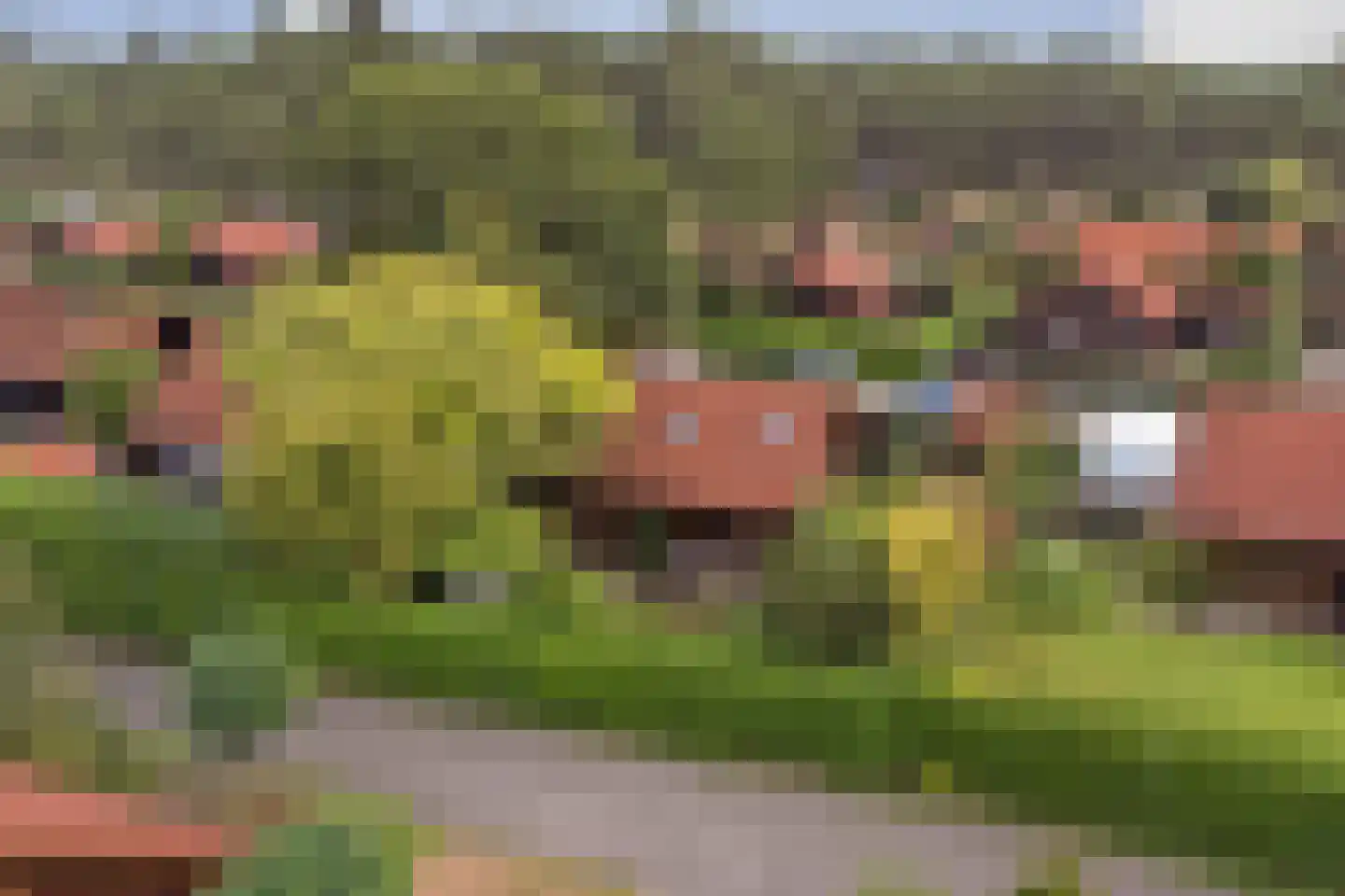 Plaggeweg 90 0060 Vierhouten thumbnail 55